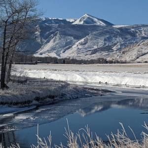 Meet your Posher, Terri